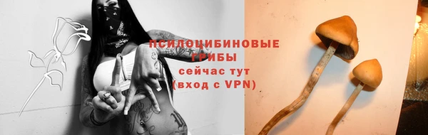 спиды Саяногорск